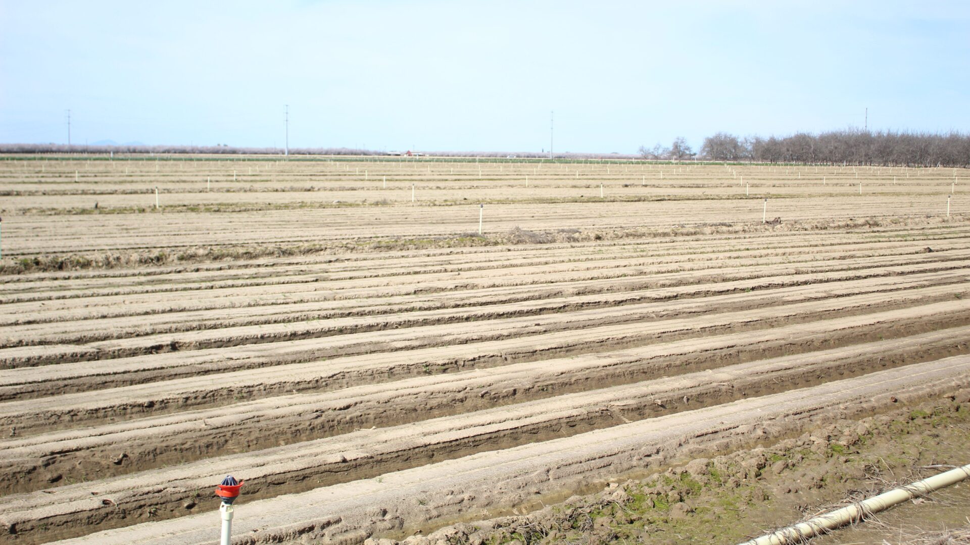 Irrigation infrastructure lines a prepared field as growers build seasonal strategies around expected water allocations and pumping constraints
