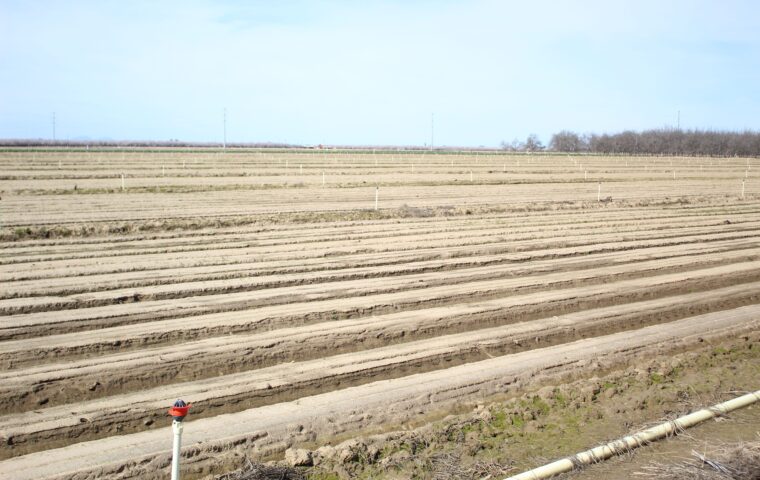Irrigation infrastructure lines a prepared field as growers build seasonal strategies around expected water allocations and pumping constraints