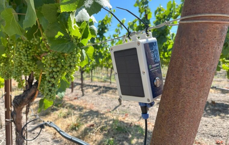 A Farmblox solar-powered sensor mounted on a vineyard trellis monitors irrigation in a California wine-grape vineyard
