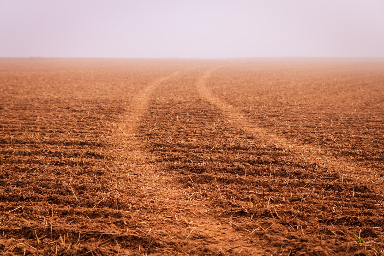 Tractor tracks curve across a dry, freshly tilled California field stretching to a hazy horizon
