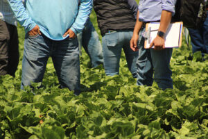 Several people standing among leafy crop rows, one holding a clipboard