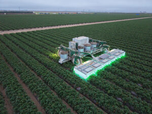 Autonomous UV-C platform operating in a strawberry field with green lights