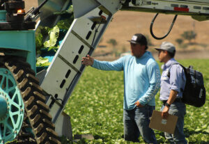 Two farm workers standing beside harvesting equipment in a leafy field, one holding a clipboard