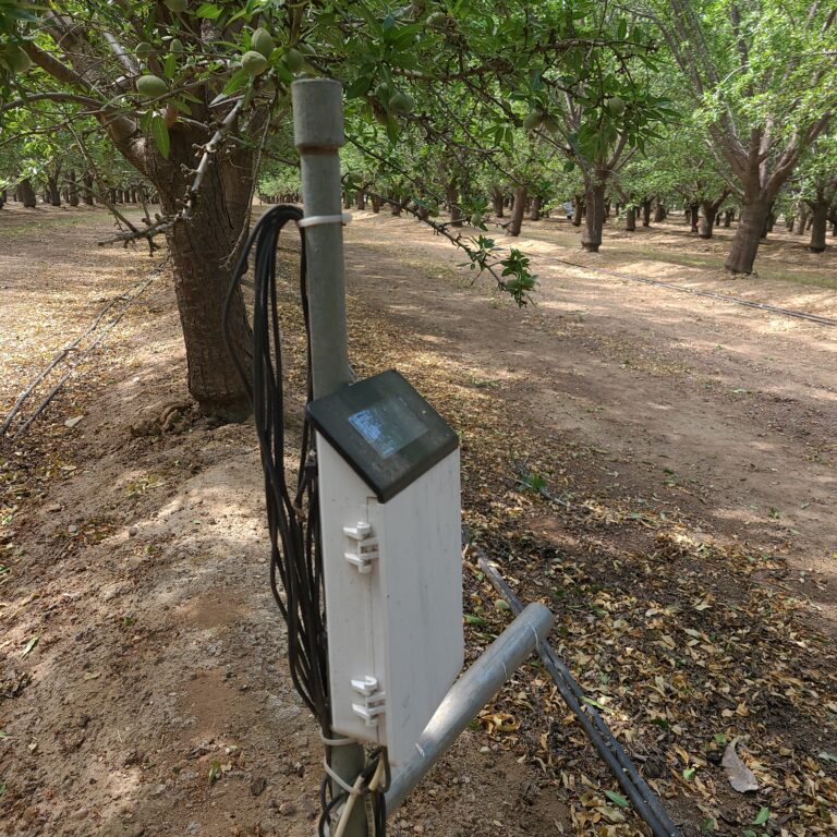 Field monitoring equipment mounted on a post between almond tree rows